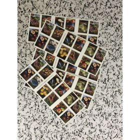 First-Class Rate U.S. STAMPS New Fruits & Vegetables 1 0 0pcs FREE SHIPPING (Option: W12327388)